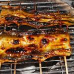 旬の魚、ウツボ