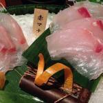 赤マチ(ハマダイ)