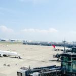 飛行機の整備方法と魚
