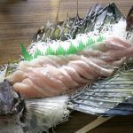 非常に美味!ハッカク(トクビレ)