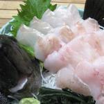 春を告げます!クロメバル