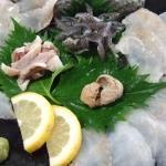 クロソイ(Black rockfish)