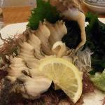 ニシ貝(アカニシ)