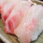 巨大クエ、和歌山沖で釣り上げられる 巨大ハタ類あれこれ