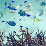 青いお話 その1