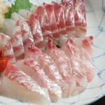 旨味がたっぷり!クロダイ(チヌ)