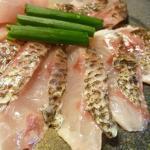 高級魚!クロムツ