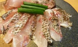 高級魚!クロムツ