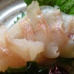 鮎魚女(アイナメ)