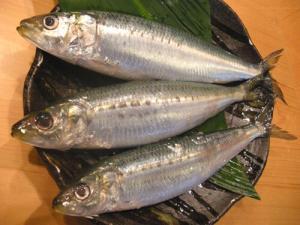 雨とイワシ