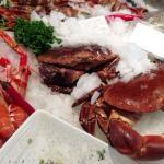 チーズのような食感！ヨーロッパイチョウガニ