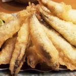 夏に食べたい魚介類その2 キビナゴ