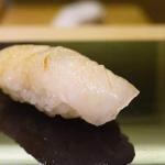 今日のお魚 マコガレイ