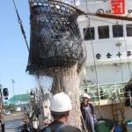 北海道・道東でサンマ棒受け漁はじまる