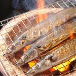 さんまあれこれ　その8