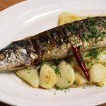 さんまあれこれ その4