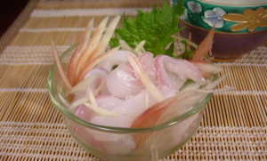 今日の魚 スズキ