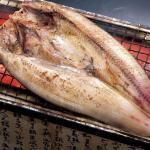 今日の魚 ホッケ