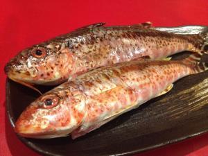 今日の魚 ヒメジ