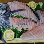 今日の魚 オキアジ