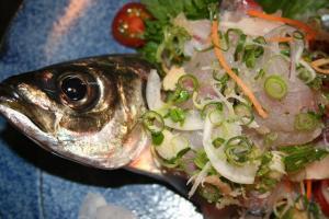 今日の魚 マアジ