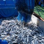 震災復興の足跡・宮城県女川の全自動冷凍冷蔵倉庫完成