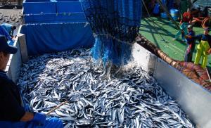 震災復興の足跡・宮城県女川の全自動冷凍冷蔵倉庫完成