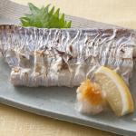 今日の魚 タチウオ