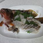 今日の魚 キジハタ