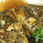 魚の顔つき