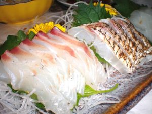 再びの…マダイあれこれ その1