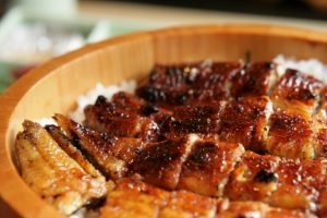 ウナギあれこれ　その1