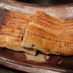 ウナギあれこれ その9