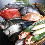 魚の匂い その1