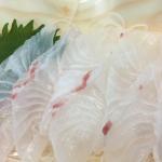 魚の匂い その3