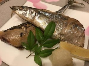 サンマあれこれリターンズ その5