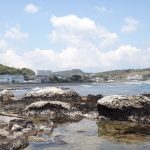 黒潮大蛇行とニッポン その2