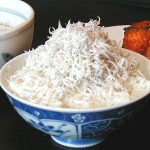 黒潮大蛇行とニッポン その4