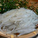 シラウオとワカサギ その2