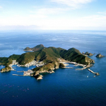 オレ、島で魚育ててます。