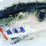 産地情報〜勝浦〜