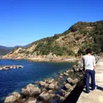 こんなにある?!養殖魚の種類