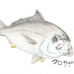 夏休みの大瀬崎(おせざき)