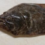 【2022年最新】ヒラメの値段相場はどれくらい?旬の時期・人気の調理方法もご紹介