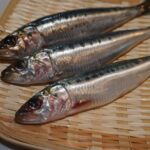 【2022年最新】DHAの多い魚ランキング6選!どのような魚に多いの?