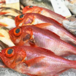 【2022年最新】キンメダイの値段相場はどれくらい?旬の時期・人気の調理方法もご紹介