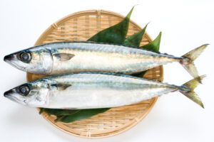 【2022年最新】サバの値段相場はどれくらい？旬の時期・人気の調理方法もご紹介