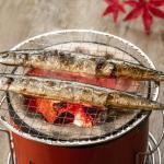 【2022年最新】焼き魚の人気ランキング6選!本当に美味しい魚はどれ?