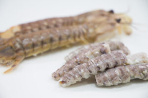 シャコはまずい？その味や美味しいレシピ、旬な時期をご紹介