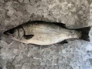 【2022年最新】ヒラスズキの値段相場はどれくらい？旬の時期・人気の調理方法もご紹介